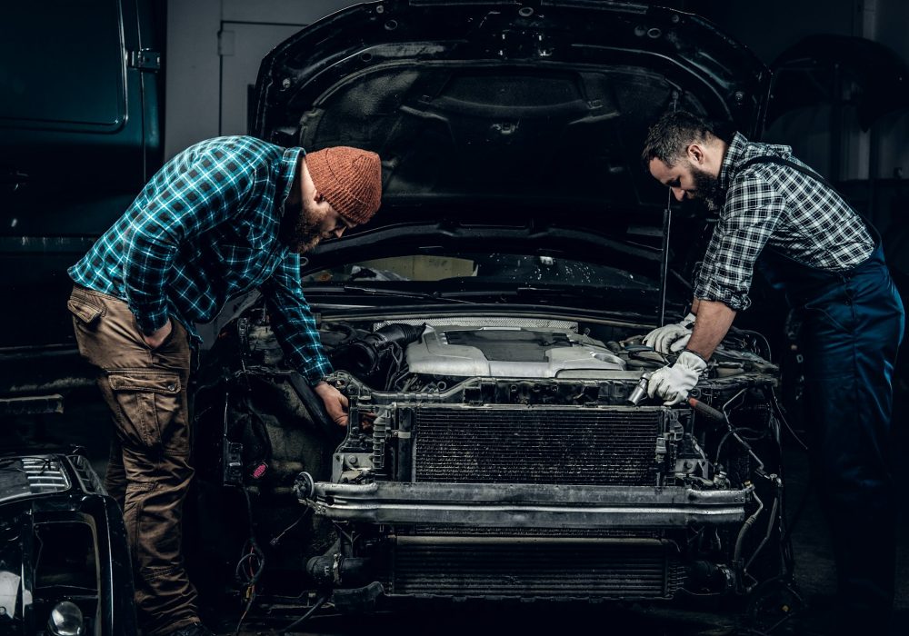 Two mechanics repairng a car.